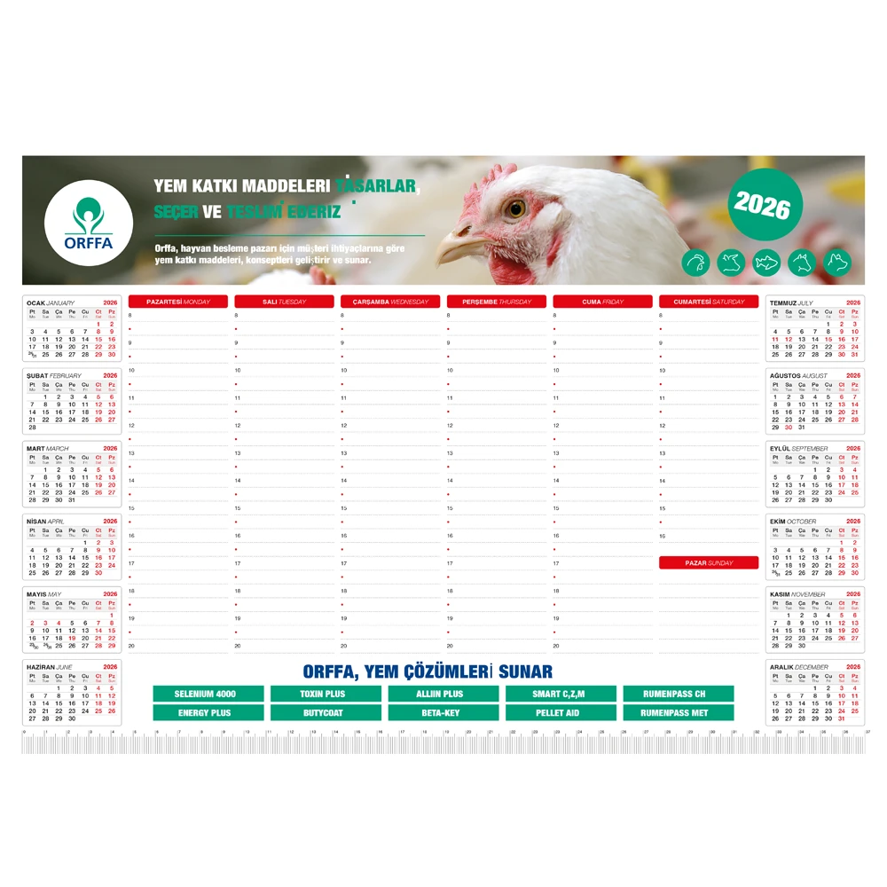 MS-20-32x12 Tarihsiz Masa Sümeni